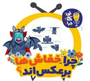 چرا خفاشها برعکساند؟